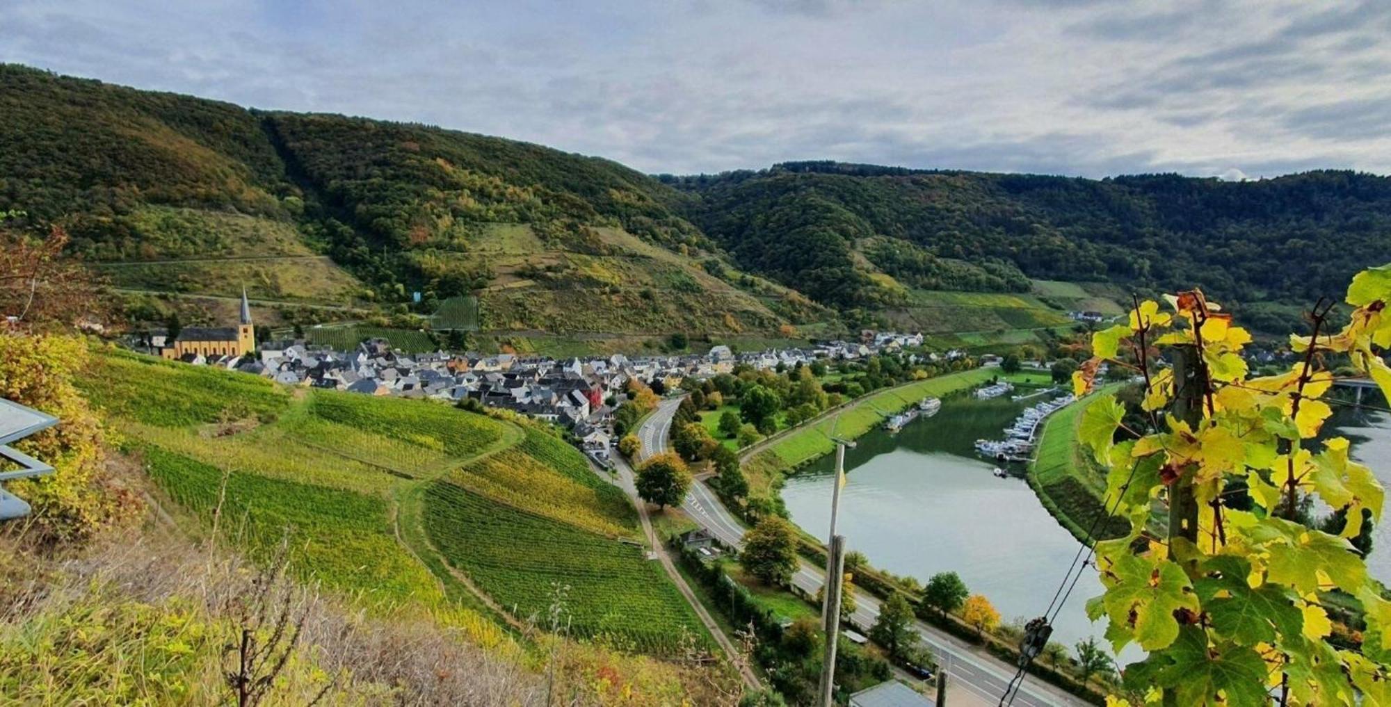 Ferienwohnung An Der Mosel, Romeo Зенхайм Экстерьер фото