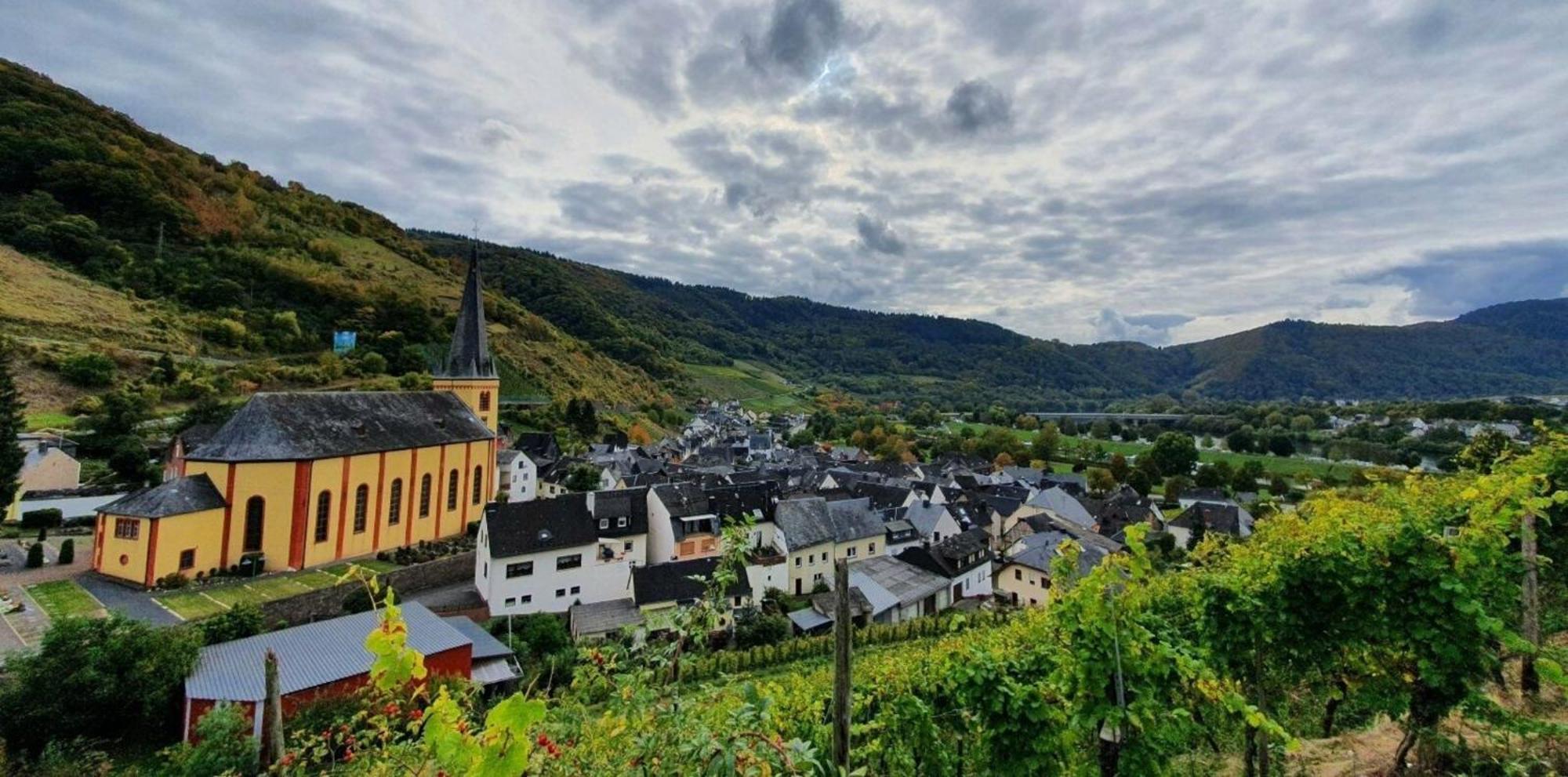 Ferienwohnung An Der Mosel, Romeo Зенхайм Экстерьер фото